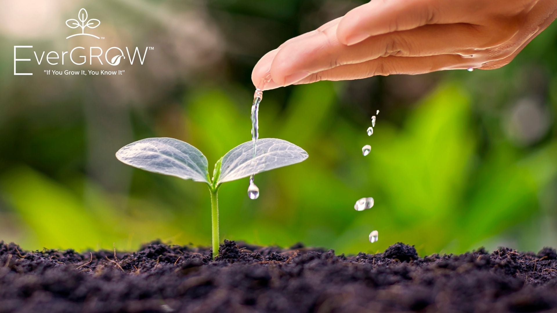 soil enhancer | Organic soil amendments