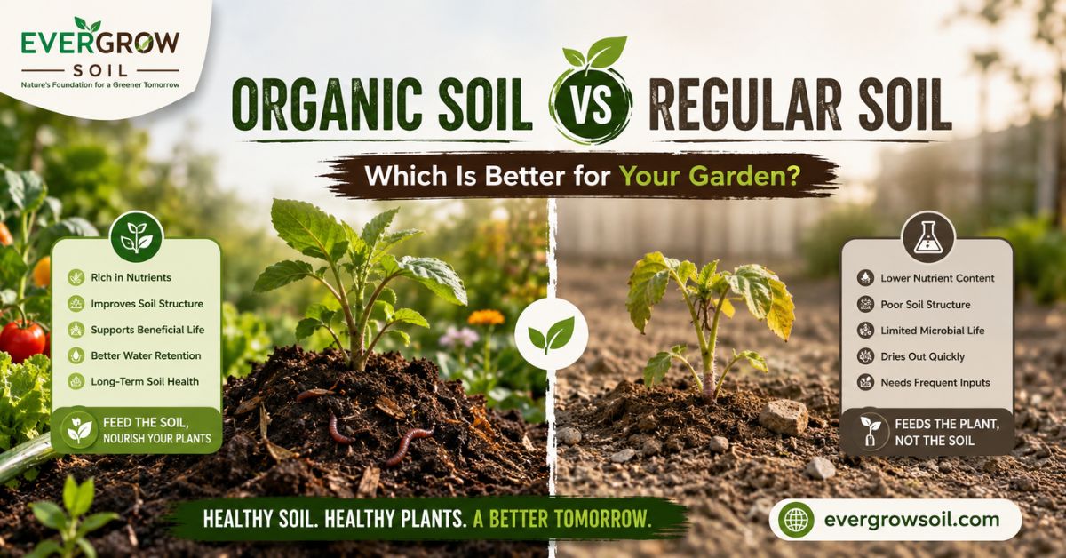 Organic soil | Organic garden soil | gardening soil