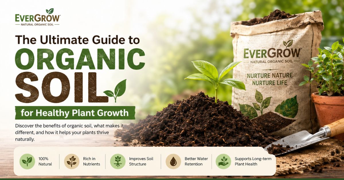 organic garden soil | planting soil | gardening soil